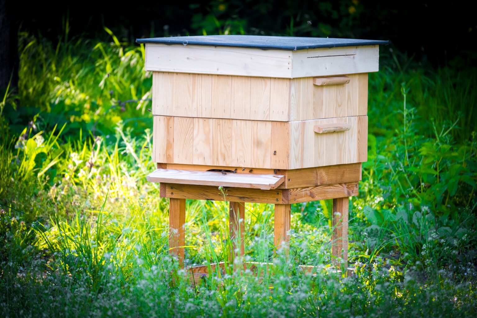 Trusted Organic Apiary Honey Manufacturers and Suppliers