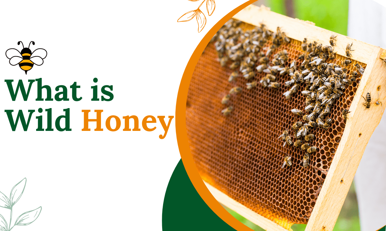 What is Wild Honey, All You Need To Know