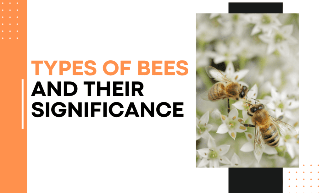17 Types of Bees and Their Significance