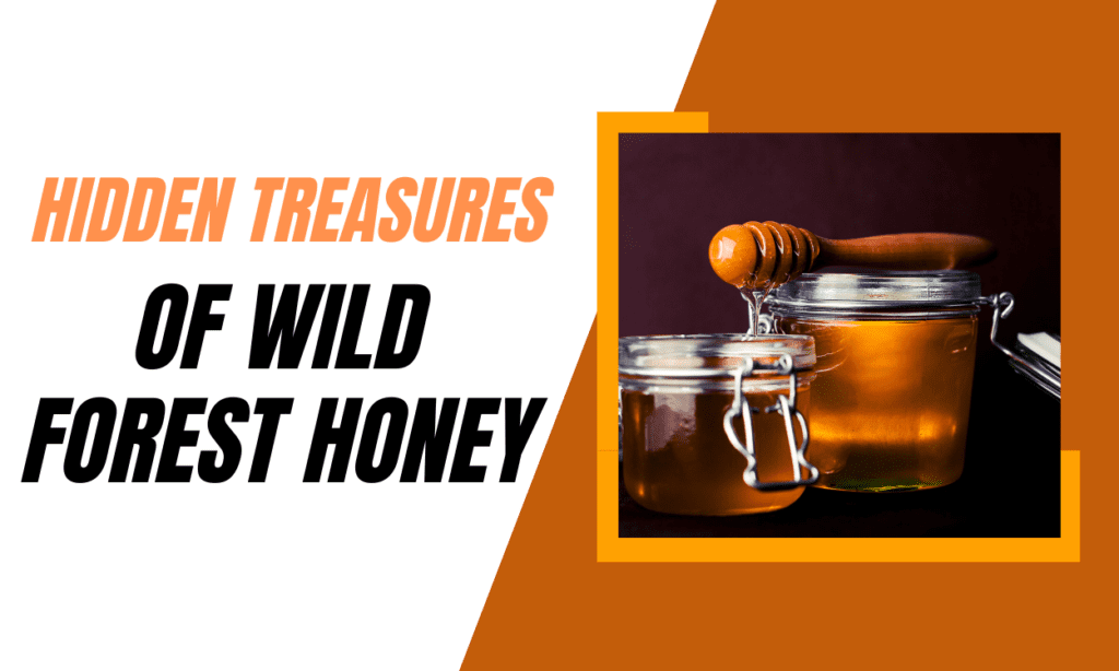 Hidden Treasures of Wild Forest Honey