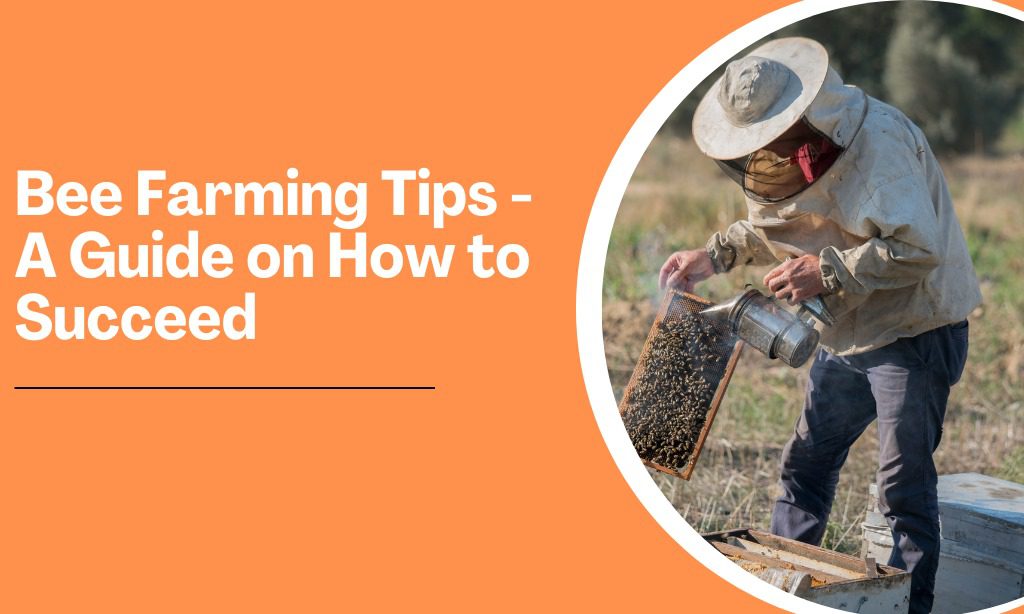 Bee Farming Tips – A Guide on How to Succeed