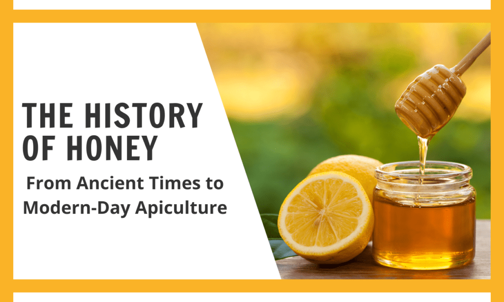 The History of Honey: From Ancient Times to Modern-Day Apiculture