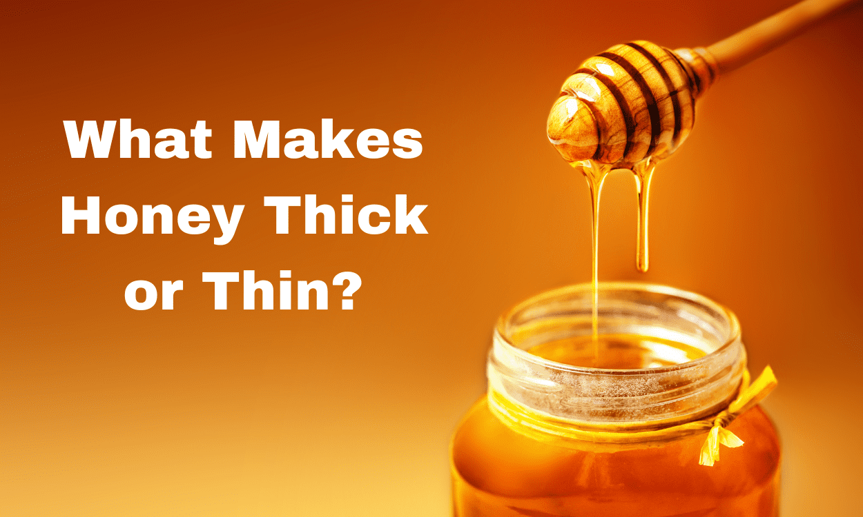 What Makes Honey Thick or Thin?