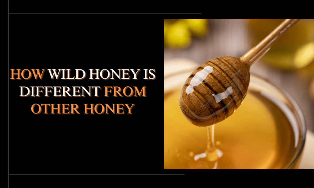 How Wild Honey is Different from Other Honey