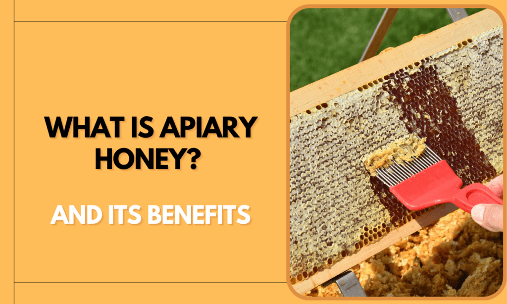 What is Apiary Honey and Its Benefits