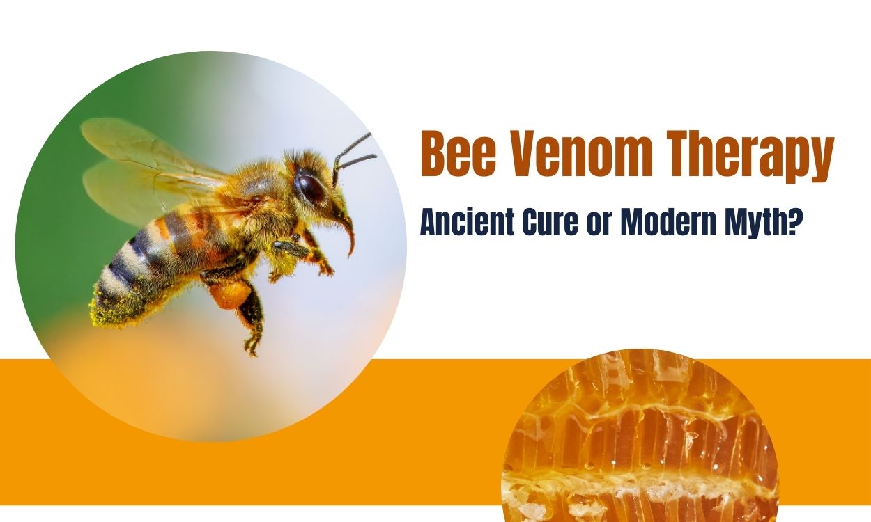 Bee Venom Therapy: Ancient Cure or Modern Myth?