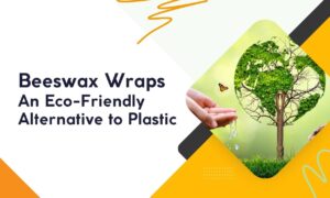 Beeswax Wraps: An Eco-Friendly Alternative to Plastic