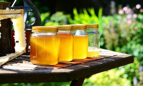 bulk-natural-apiary-honey